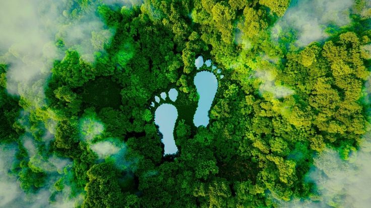 Carbon Footprint Reduction: Investing in a Sustainable Future